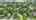 Blurred preview of media: 86 Oxford St - Video - 