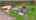 Blurred preview of media: 392492 Southgate Sideroad 39, Southgate