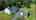 Blurred preview of media: 321PrincetonRoad_Branded_v3