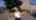 Blurred preview of media: 2-2 Easter Dalry Drive Video