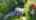 Blurred preview of media: 29ShakerRoad_MLS_v1