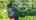 Blurred preview of media: 58GatesLane_MLS_v1