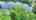 Blurred preview of media: 20IroquoisAvenue_MLS_v1