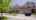 Blurred preview of media: DEEPSRINGS