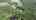 Blurred preview of media: Unbranded