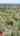 Blurred preview of media: 99BeaverRoad_MLS_v1