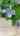 Blurred preview of media: 1301 Kanaka Rapids Video