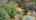 Blurred preview of media: 14MinotAvenue_MLS_v1