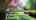 Blurred preview of media: 30GoosePondRoad_MLS_v1