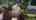 Blurred preview of media: 8539_sw_166th_terrace,_beaverton,_oregon_v1