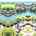 Blurred preview of media: 7805