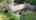 Blurred preview of media: 36 Beechwood Dr - South Dartmouth - Unbranded