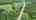 Blurred preview of media: grey rd. 2nd