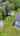 Blurred preview of media: 360 First Av_2