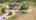 Blurred preview of media: 188 Avenida Cortez, Abilene TX 79602