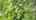 Blurred preview of media: 36RussellStreet_MLS_v1