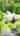 Blurred preview of media: 61NewcombRoad_MLS_v1