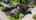 Blurred preview of media: 9070 SW Howatt St  Cc2