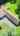 Blurred preview of media: 136FairbanksStreet_Social_v1