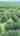 Blurred preview of media: 44WestBrookfieldRoad_MLS_v1