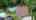 Blurred preview of media: 19 Ann Arbour Ct. Whitby