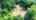Blurred preview of media: 4MainStreet_MLS_v1