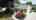Blurred preview of media: DSC_3424