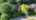 Blurred preview of media: WoodsBay_FINAL_Logo