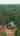 Blurred preview of media: 1183 Conway Reel