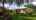 Blurred preview of media: 2114 tocobaga