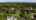 Blurred preview of media: 1717-woodland-music