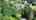 Blurred preview of media: 132CottageStreet_MLS_v1