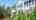 Blurred preview of media: 6BancroftStreet_MLS_v1