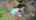 Blurred preview of media: 52BulkeleyRoad_Branded_v1