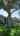 Blurred preview of media: 644 Chester Pines Ct, Ocoee, FL