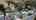 Blurred preview of media: Interior Pro Images 24625 Gilmore St BRANDED DRE