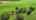 Blurred preview of media: 1450 Brock Conc. 4 longerSunderland
