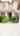 Blurred preview of media: southwind branded