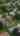 Blurred preview of media: 122 Water Street, St Jacobs vertical