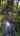 Blurred preview of media: reel 