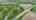 Blurred preview of media: Conf May Unbranded