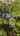 Blurred preview of media: 14602 new video