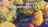 Blurred preview of media: 799HillRoad_MLS_v1