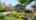 Blurred preview of media: 2209 Caroline St, Burlington