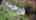 Blurred preview of media: 105DudleyRoad_MLS_v2
