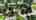 Blurred preview of media: 30