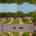 Blurred preview of media: Horizontal_1