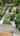Blurred preview of media: panorama unbranded