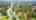 Blurred preview of media: Bonney Lake