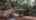 Blurred preview of media: 4317 Mogollon Drive Highlight Video